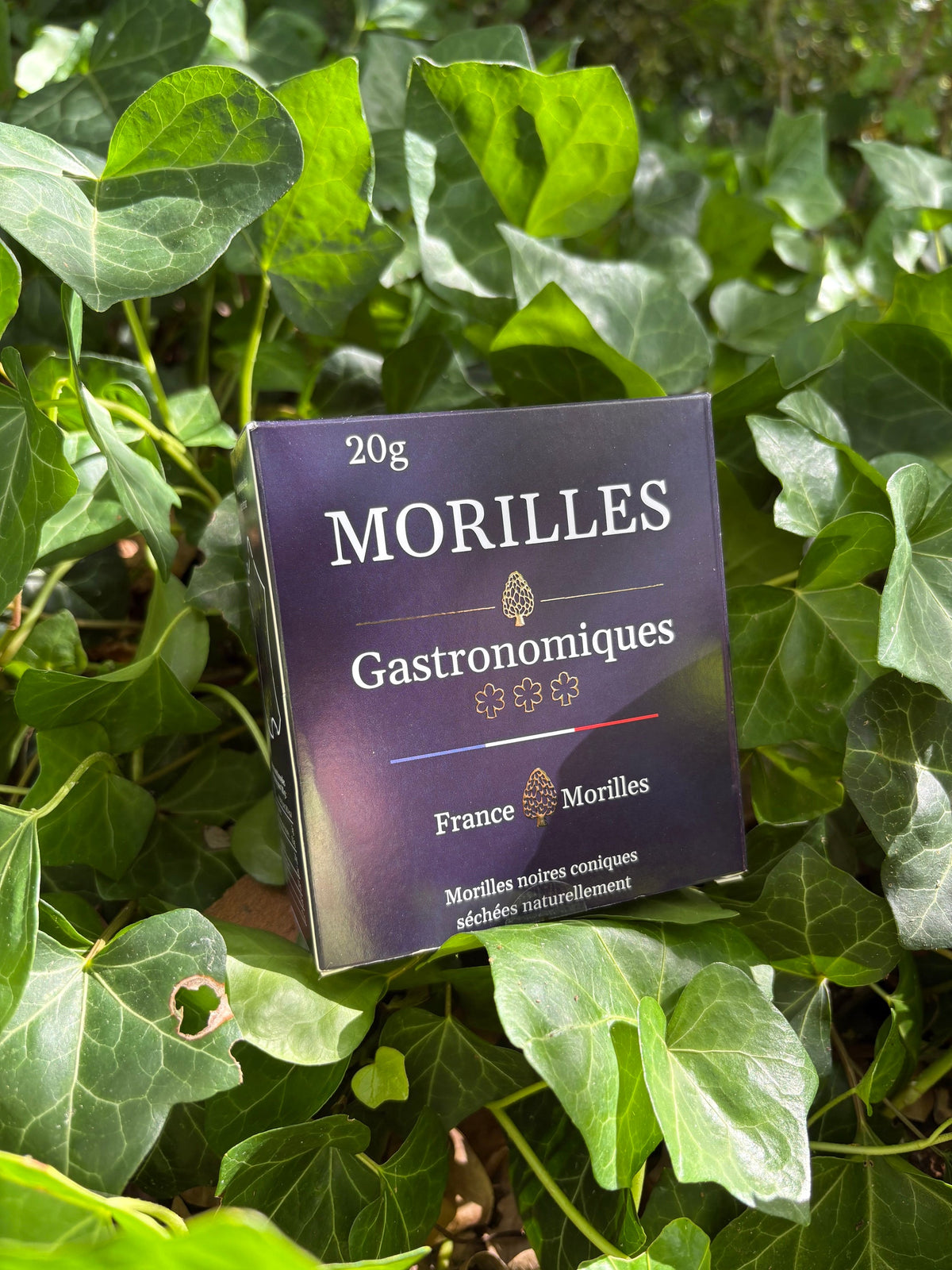 Morilles séchées France Morilles qualité extra